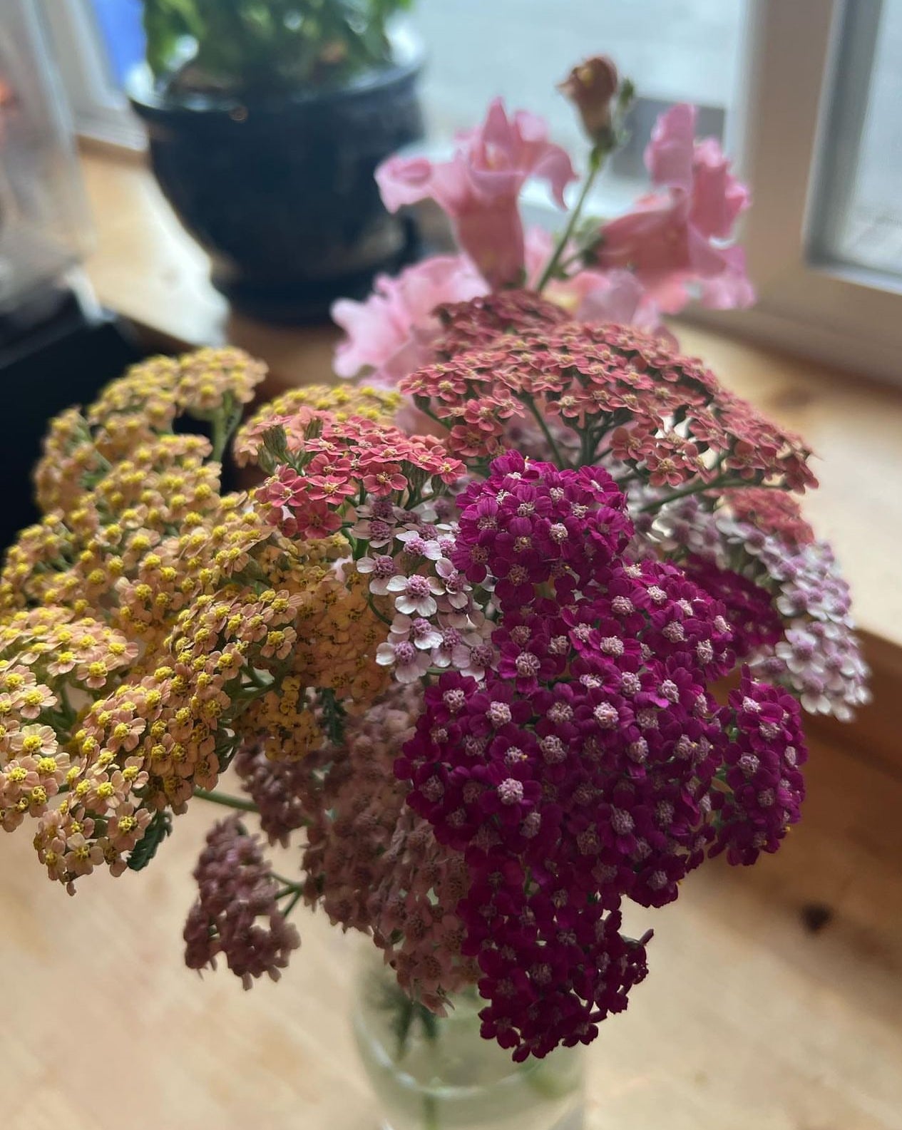 Dried Yarrow Arrangement